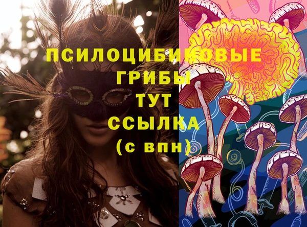 мяу мяу кристалл Верея