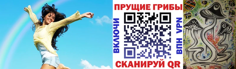 Псилоцибиновые грибы ЛСД  Купить где  Боровичи 