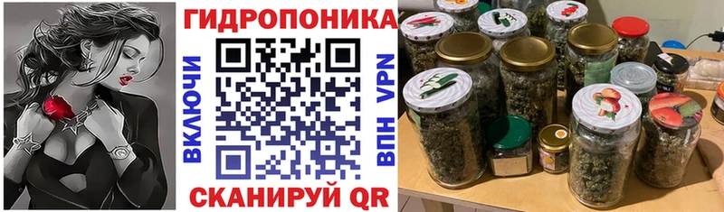 Купить закладки Боровичи МАРИХУАНА семена